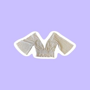 Forever 21 Shimmery Taupe Crop Top